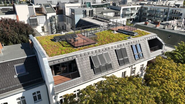 /7f7b12556fa26442b2707e862f3ba7fd.teaser/1_teaser.jpg?v=2